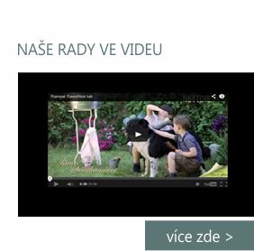 NAŠE RADY VE VIDEU